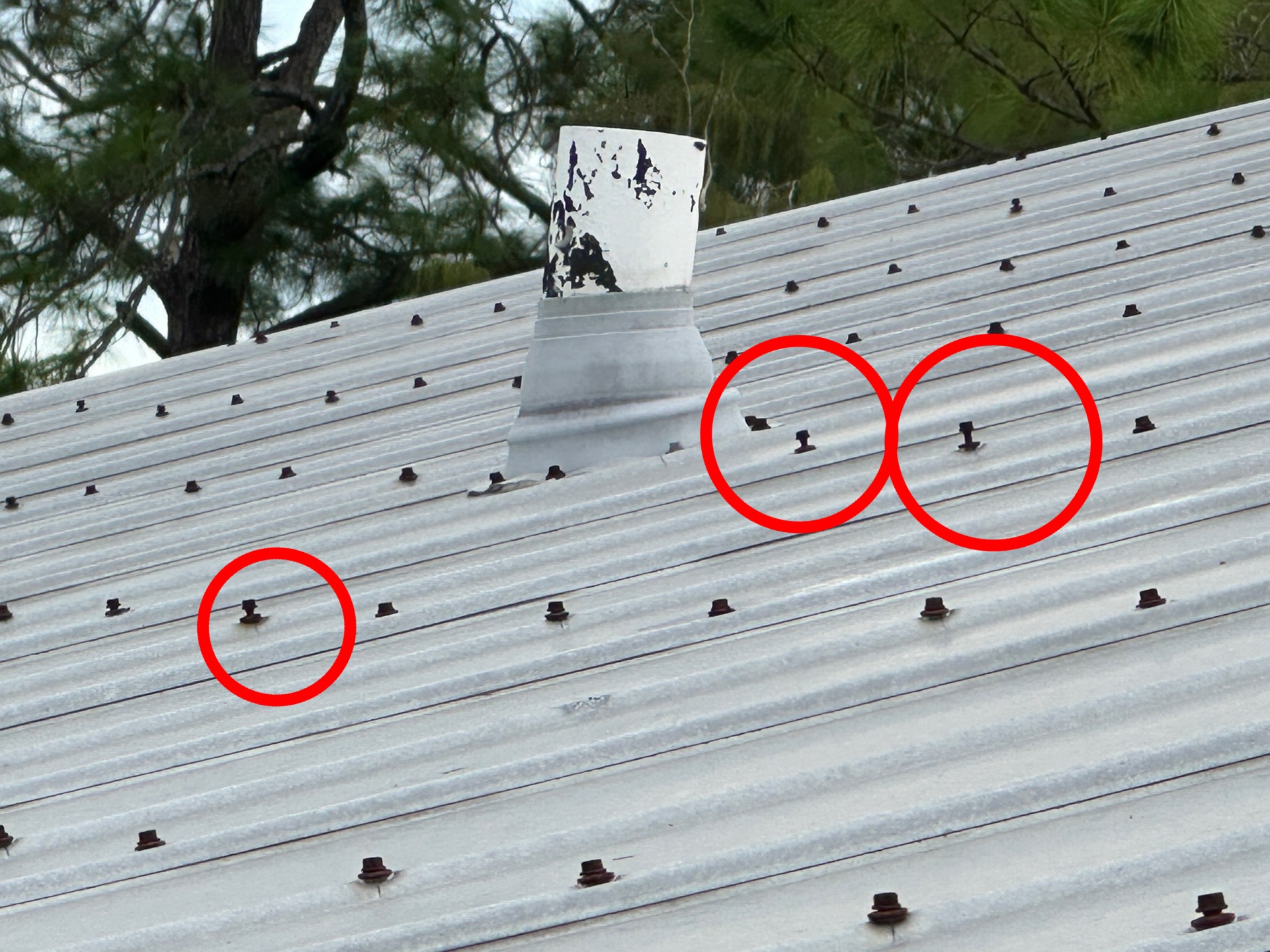 corroded and loose roof fasteners